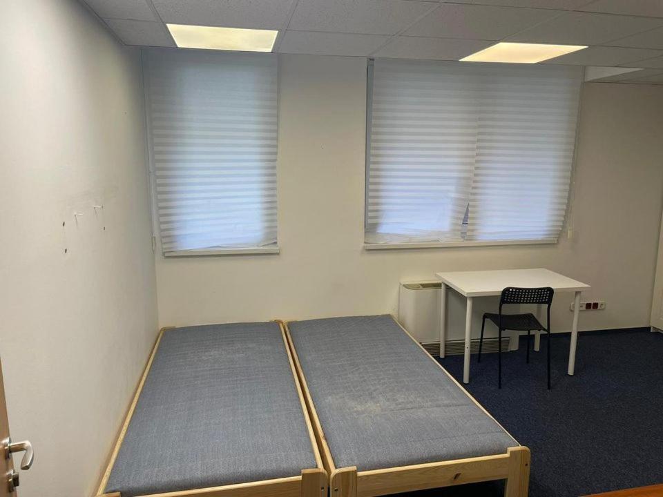 Viola Hostel Budapest Eksteriør bilde