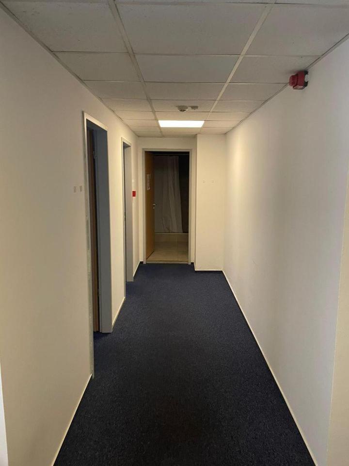 Viola Hostel Budapest Eksteriør bilde